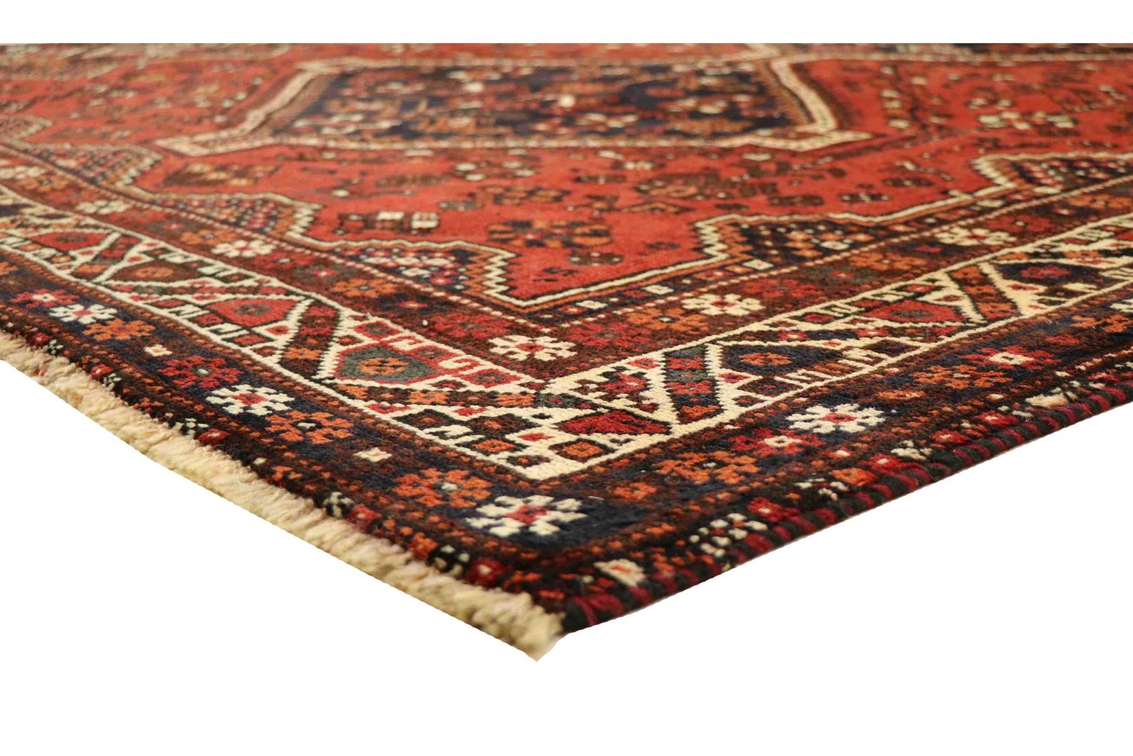 Shiraz 300x207 - Image 7