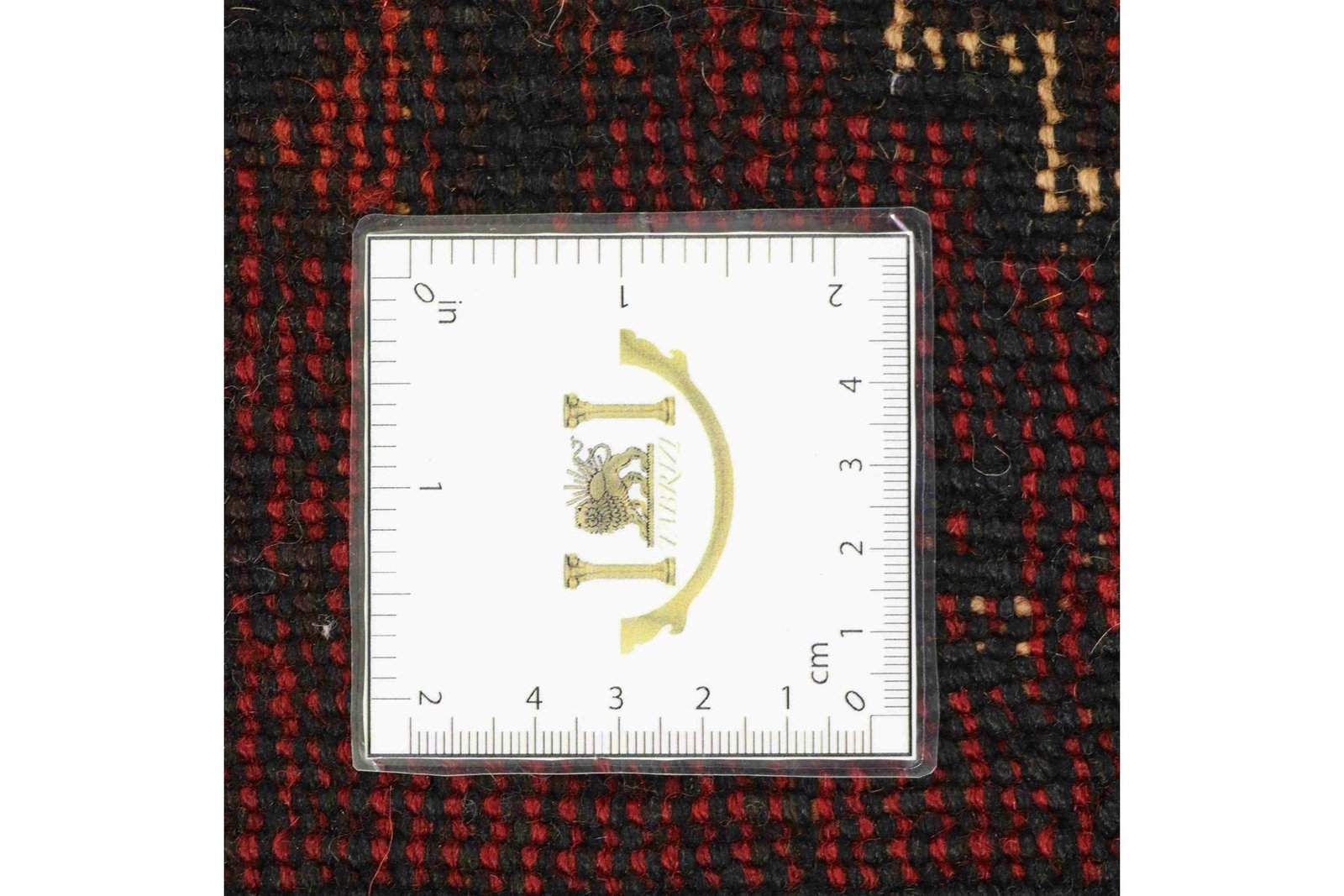 Shiraz 300x207 - Image 9