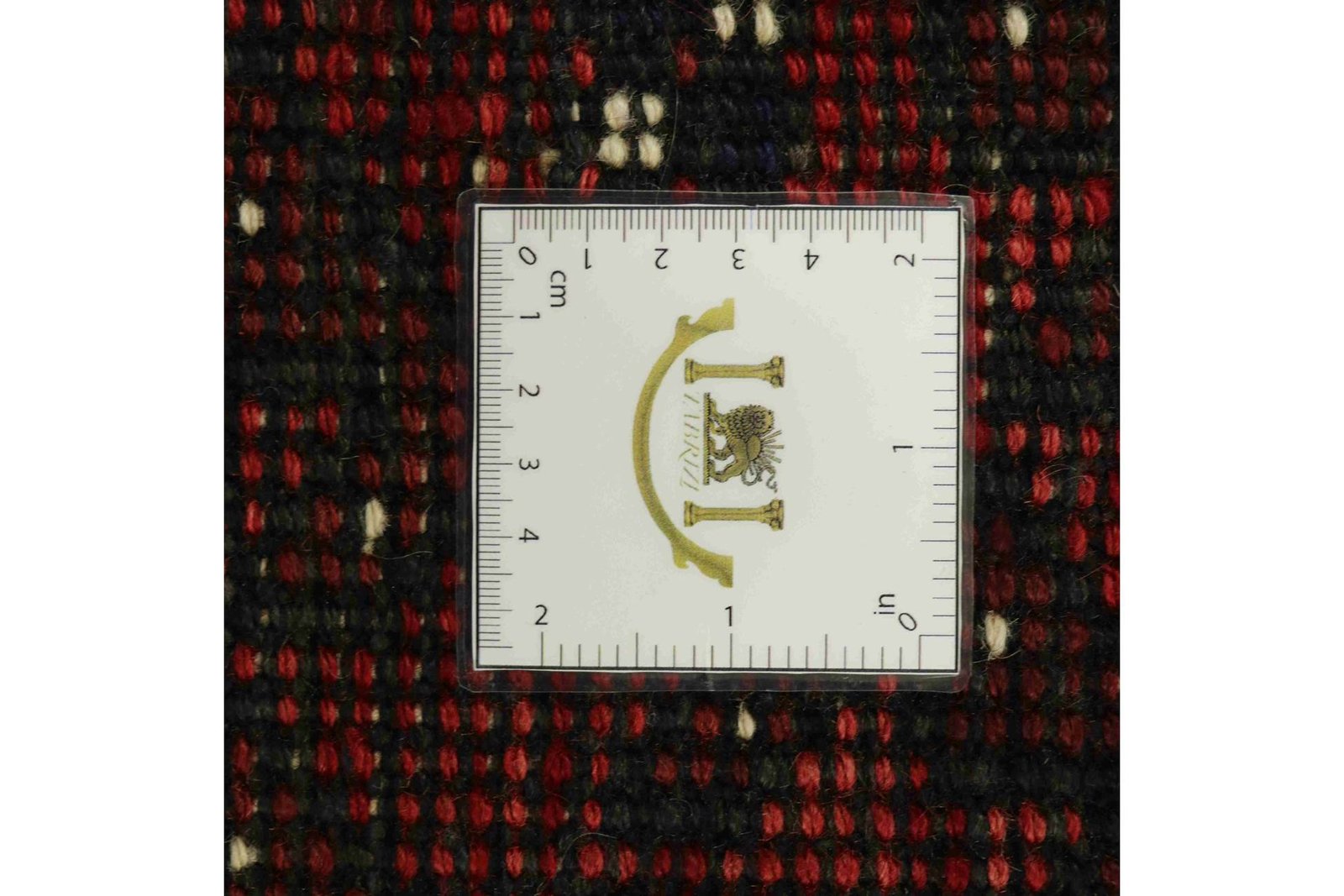 Shiraz 283x194 - Image 9