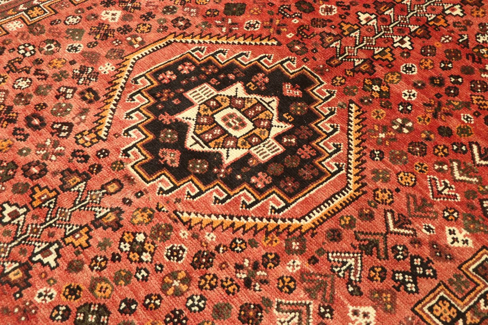 Shiraz 305x210 - Image 4