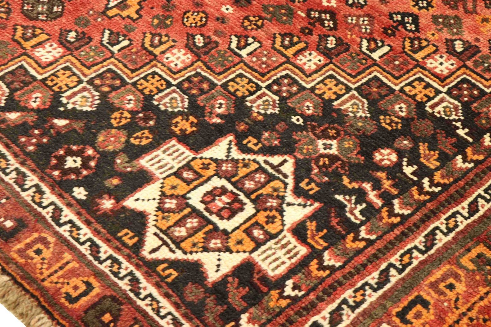 Shiraz 305x210 - Image 5