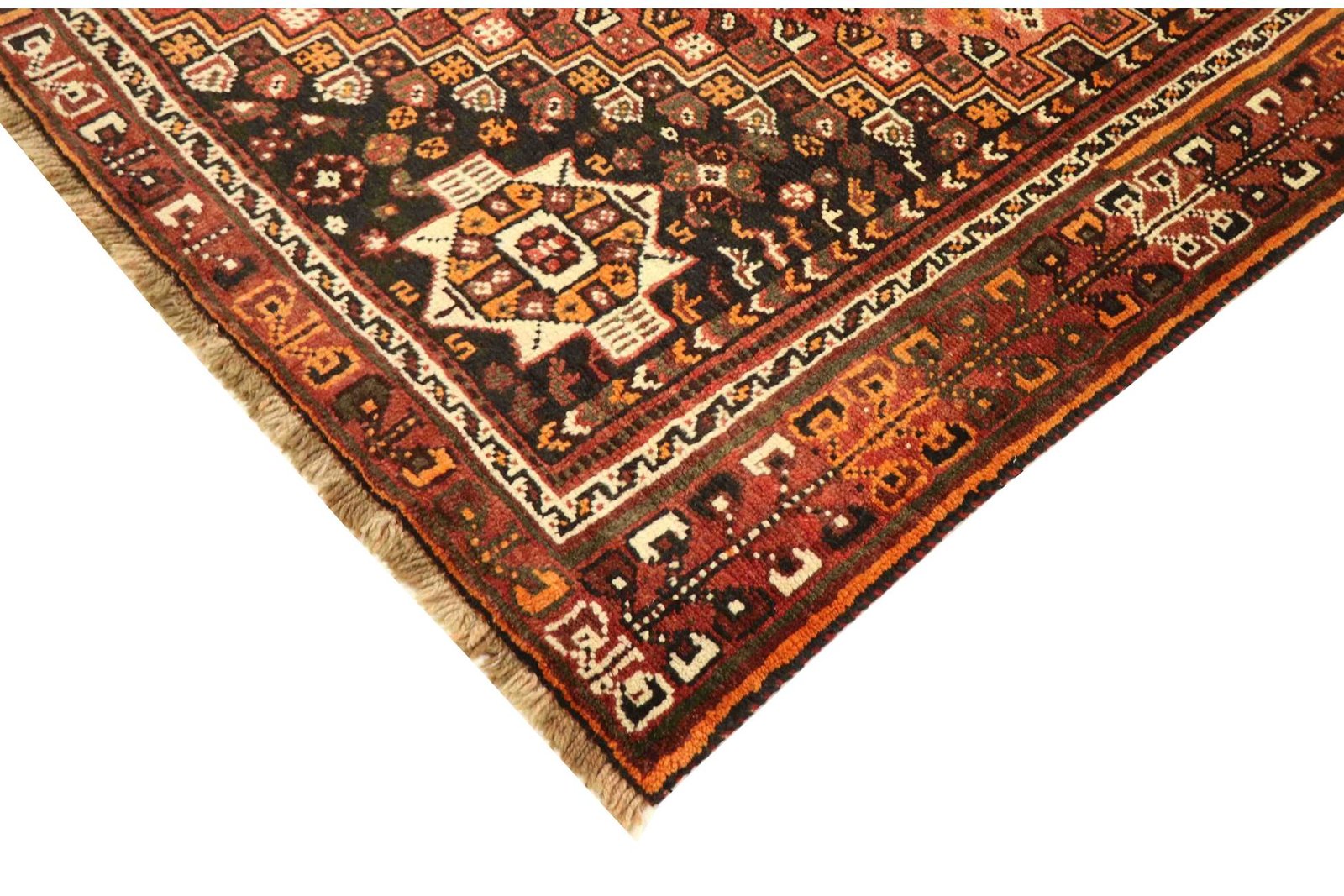 Shiraz 305x210 - Image 6