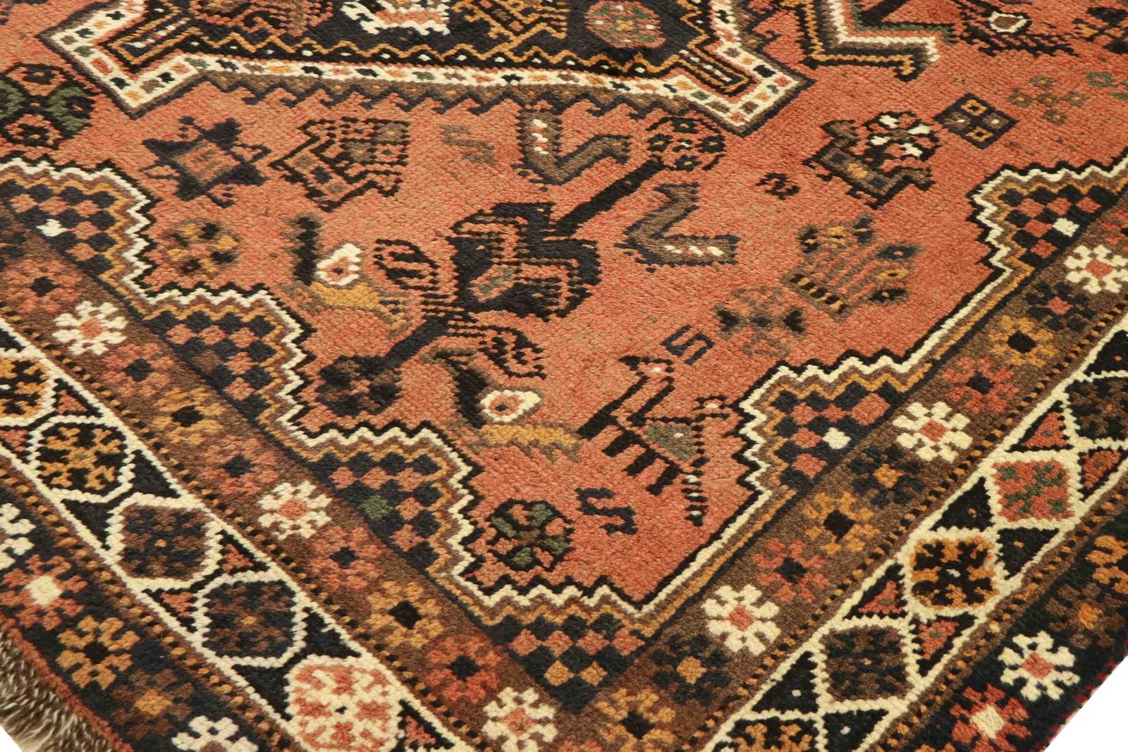 Shiraz 282x195 - Image 5