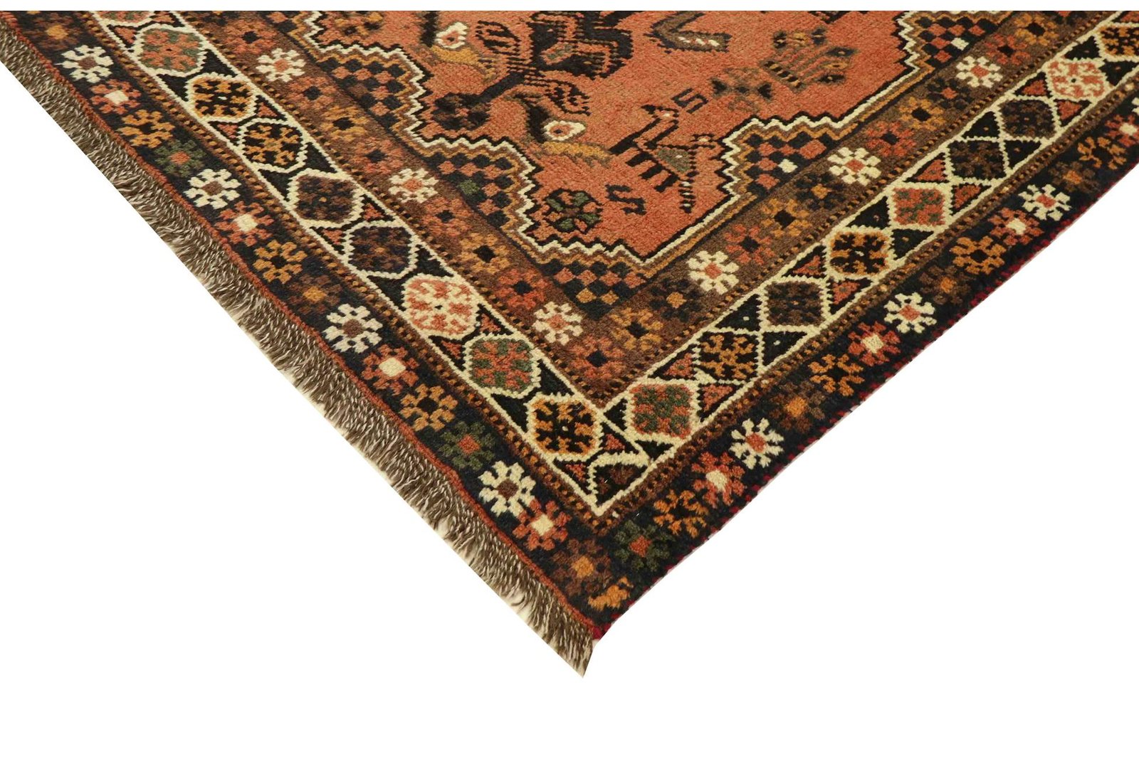 Shiraz 282x195 - Image 6