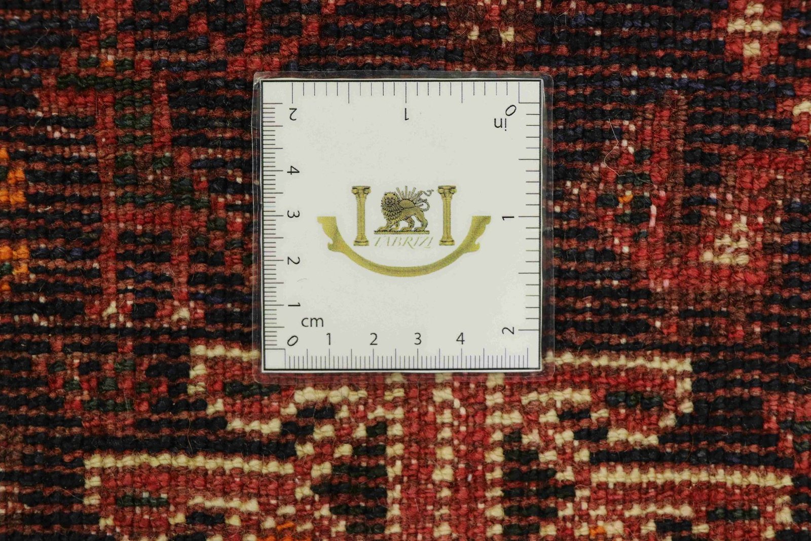 Shiraz 147x116 - Image 6