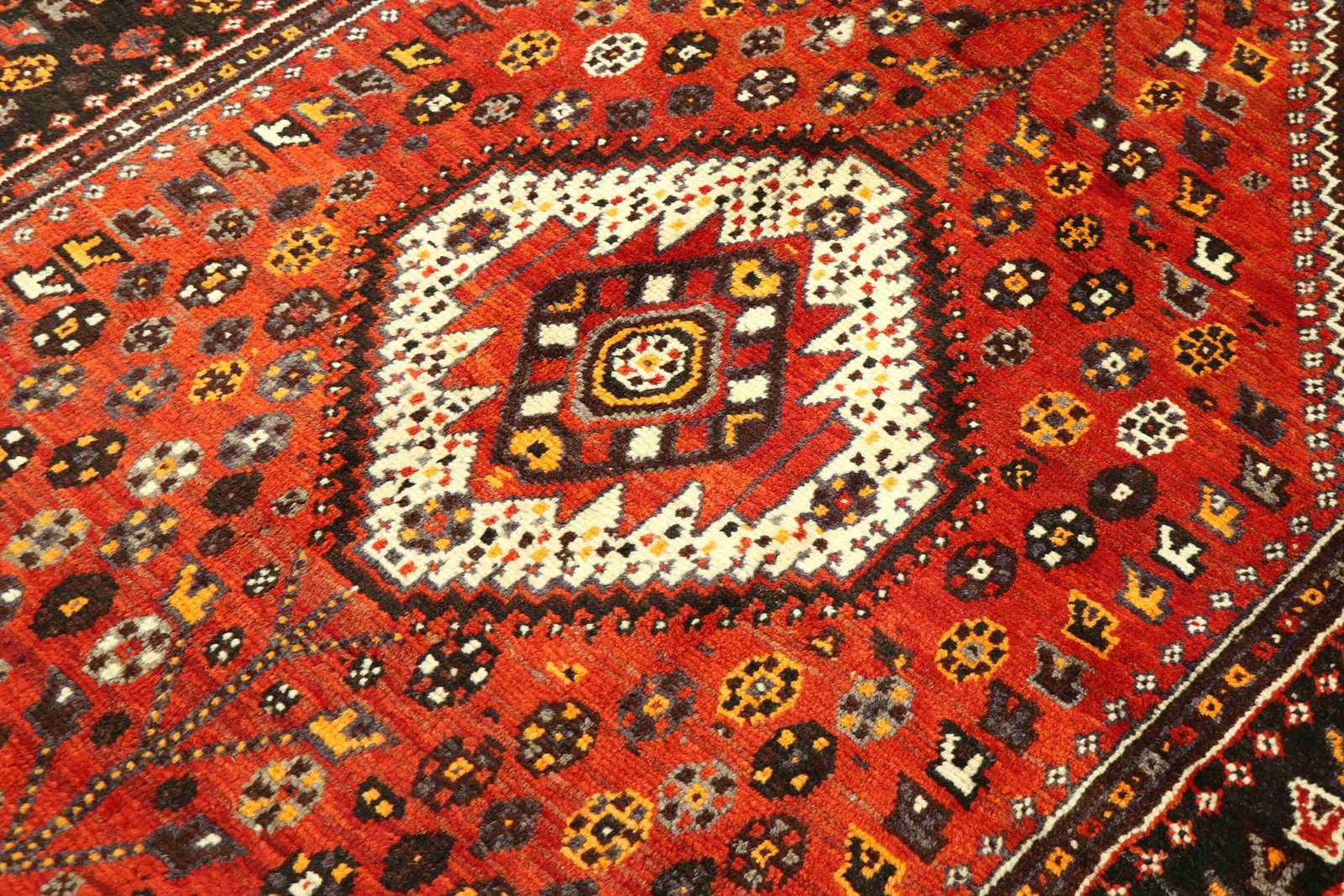 Shiraz 234x162 - Image 4