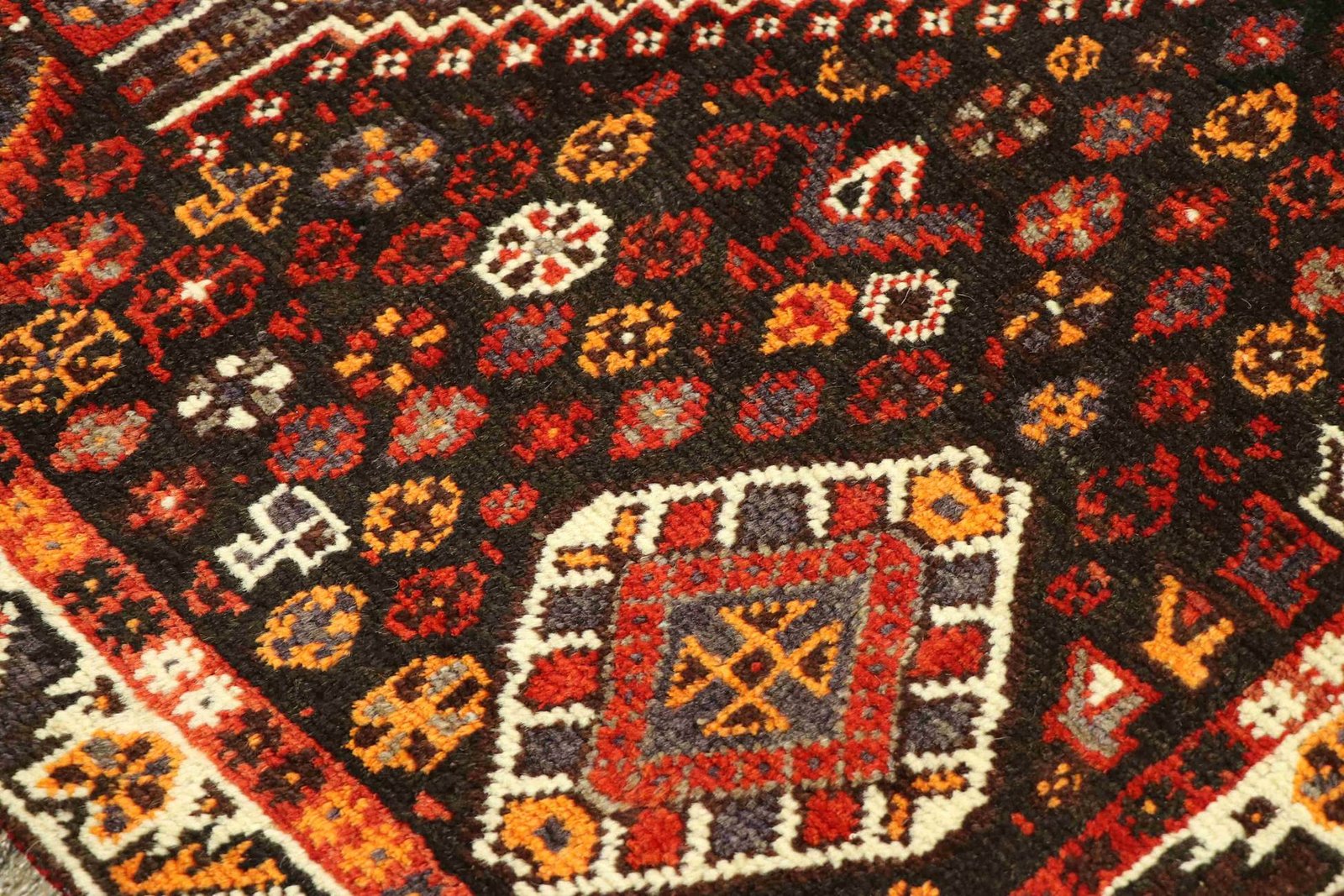 Shiraz 234x162 - Image 5