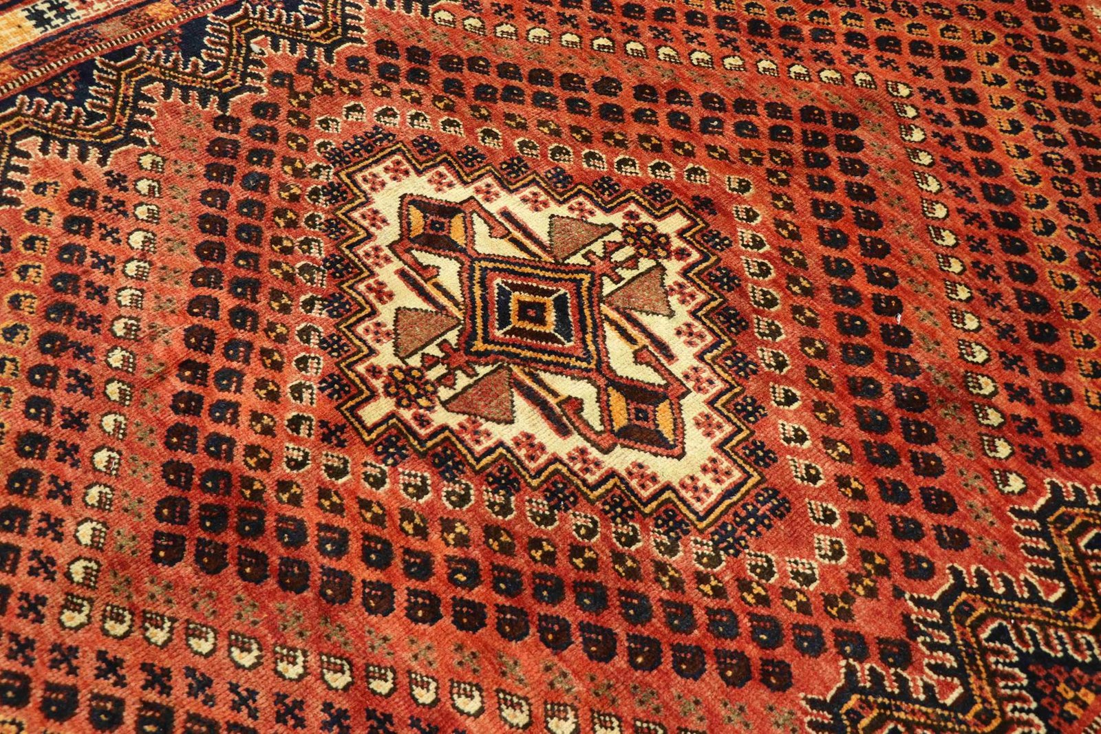 Ghashghai 255x185 - Image 4