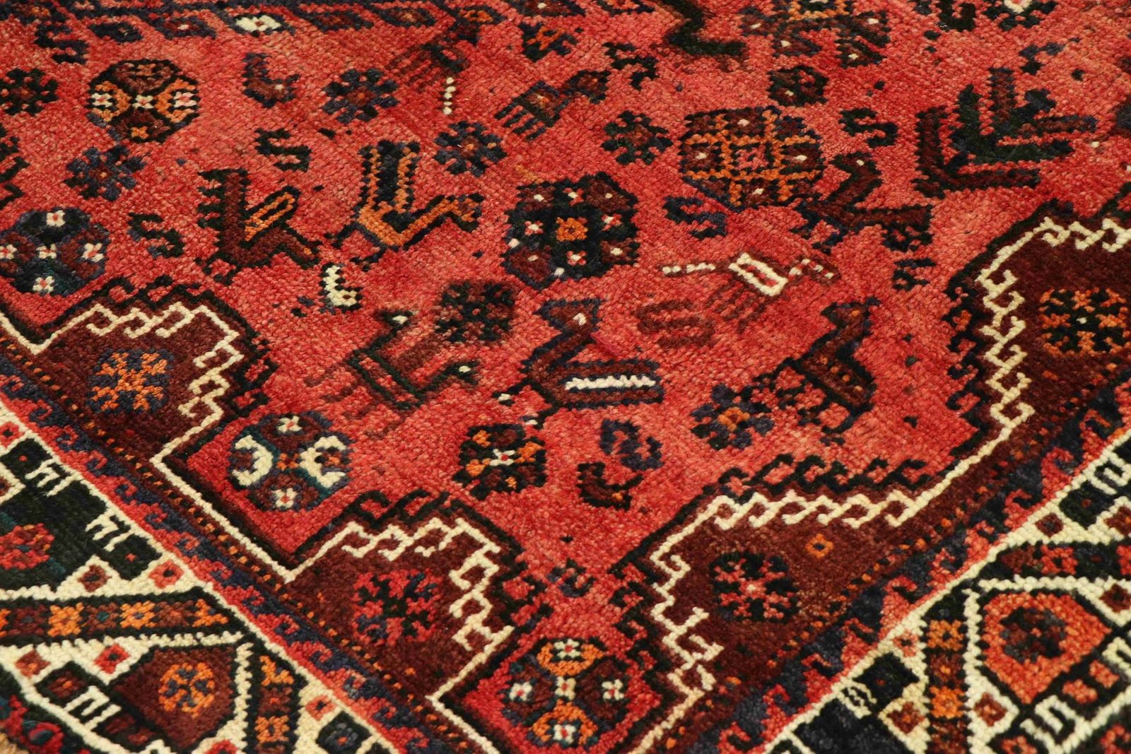 Shiraz 220x177 - Image 5