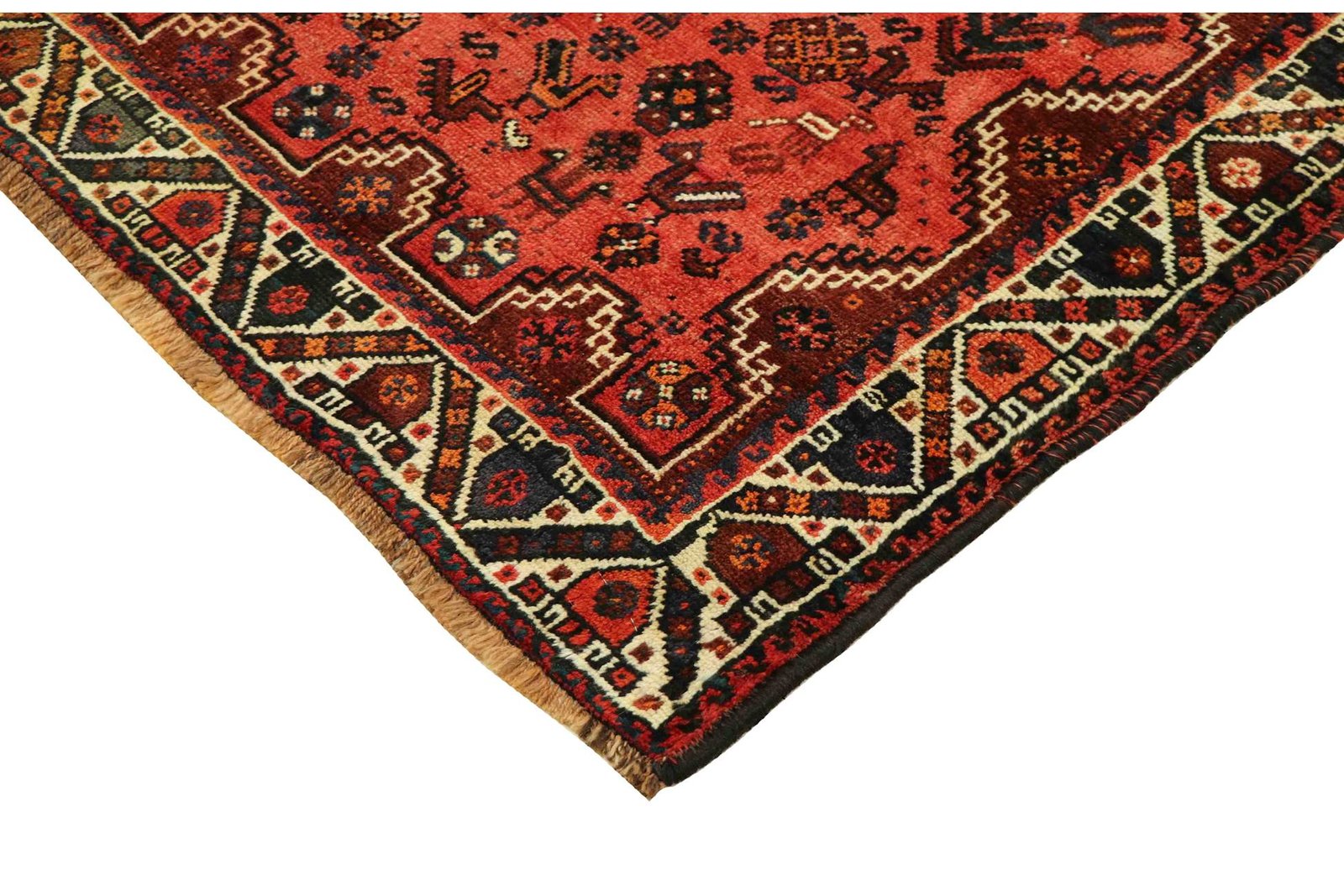 Shiraz 220x177 - Image 6