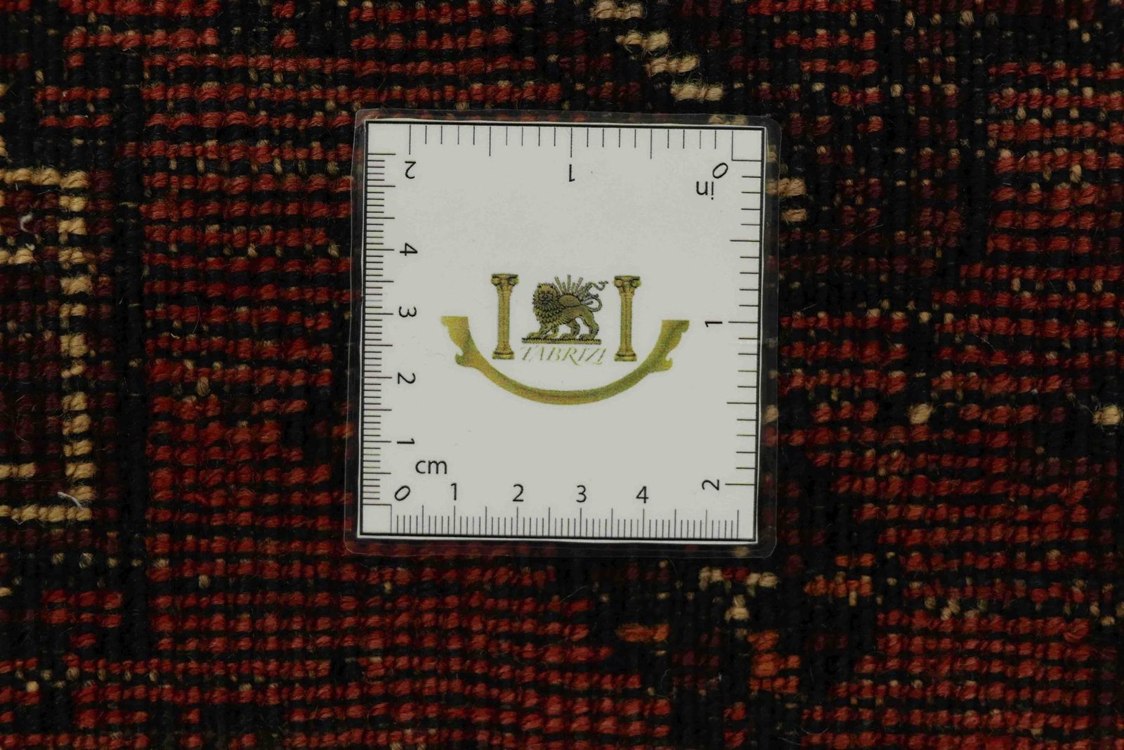 Shiraz 220x177 - Image 9