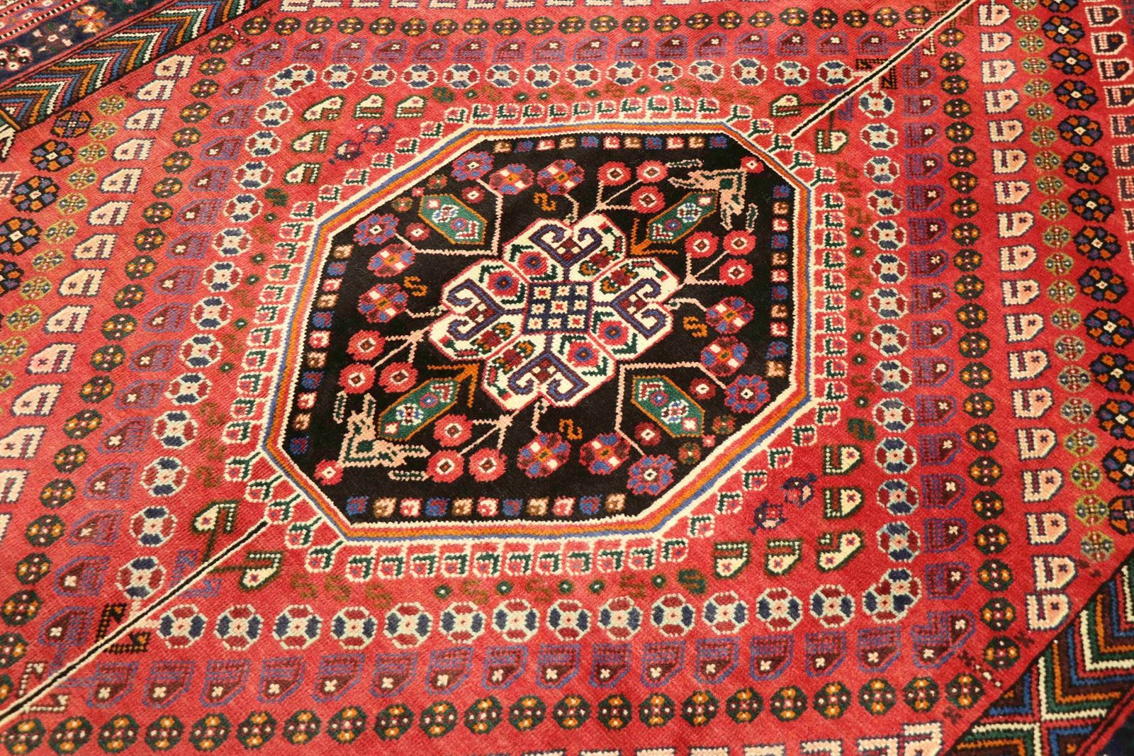 Ghashghai 242x181 - Image 4