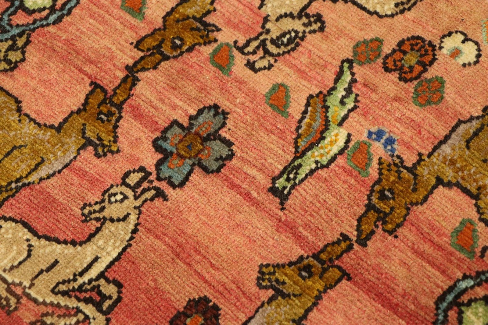 Ghashghai 60x59 - Image 4