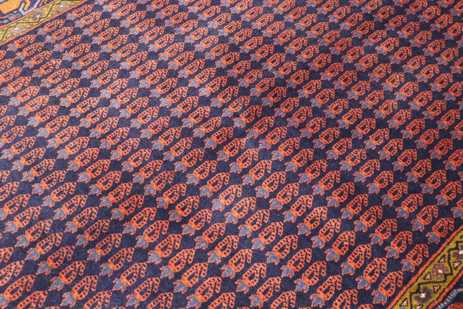 Sarough 230x161 - Image 4