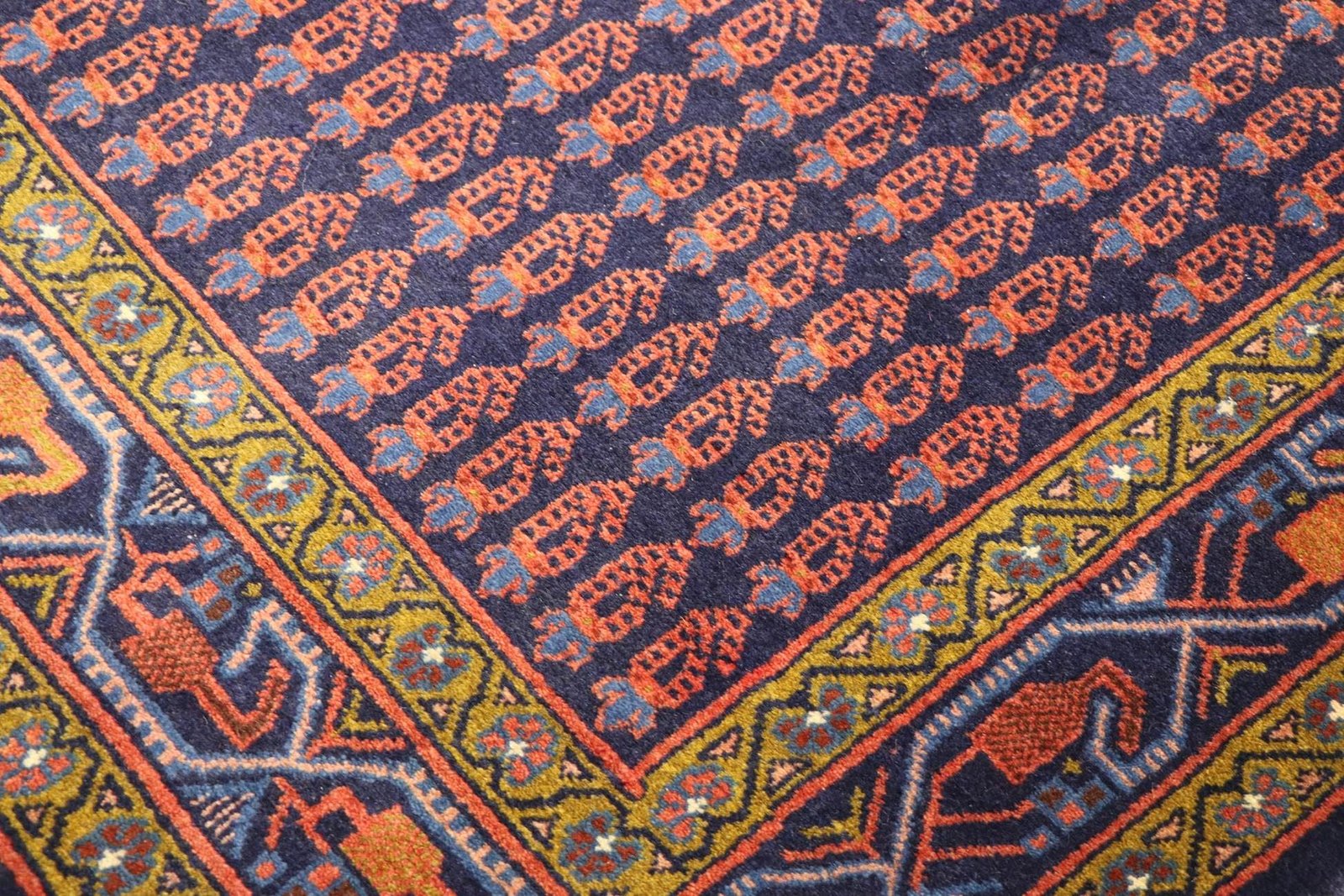 Sarough 230x161 - Image 5