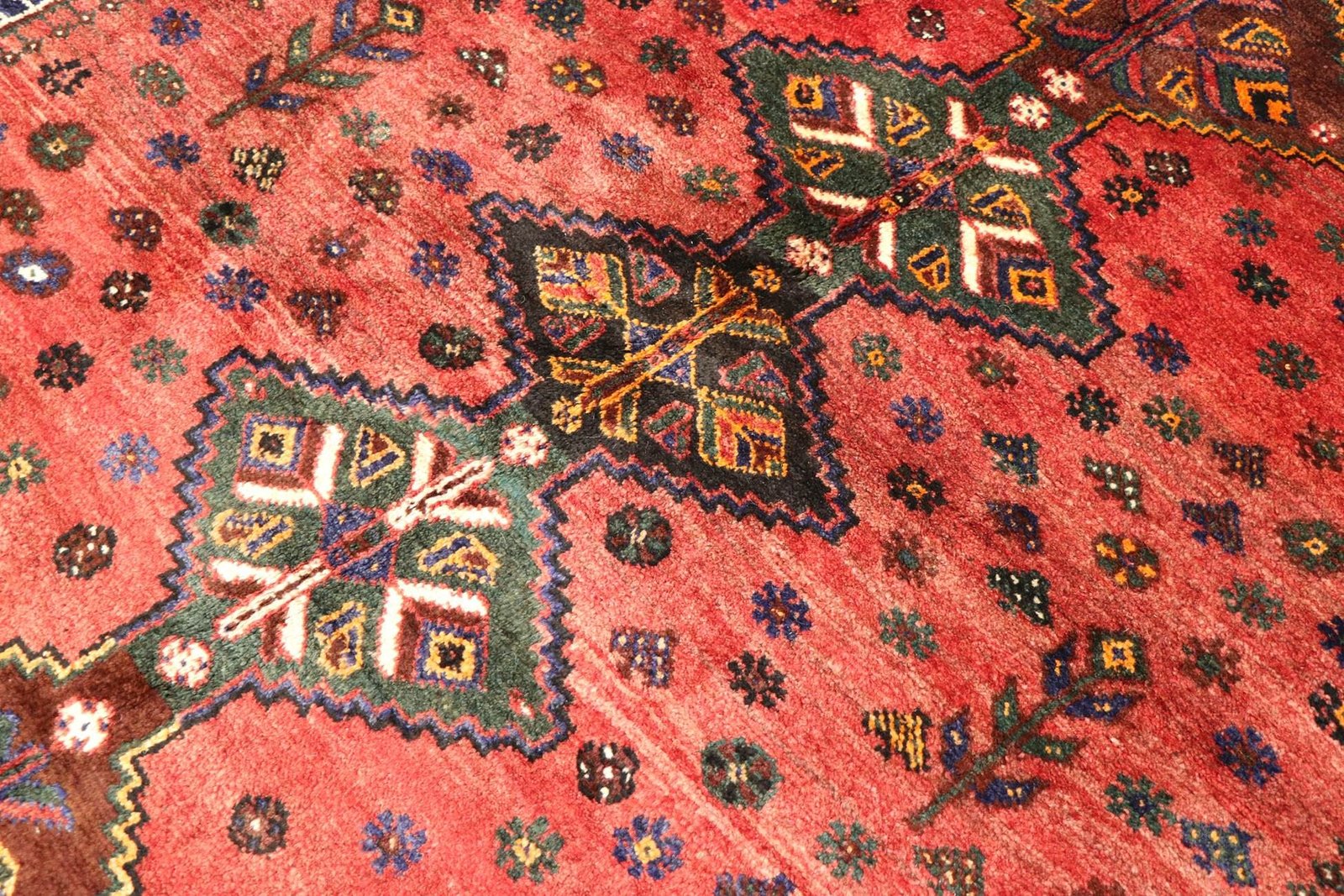 Ghashghai 237x174 - Image 4