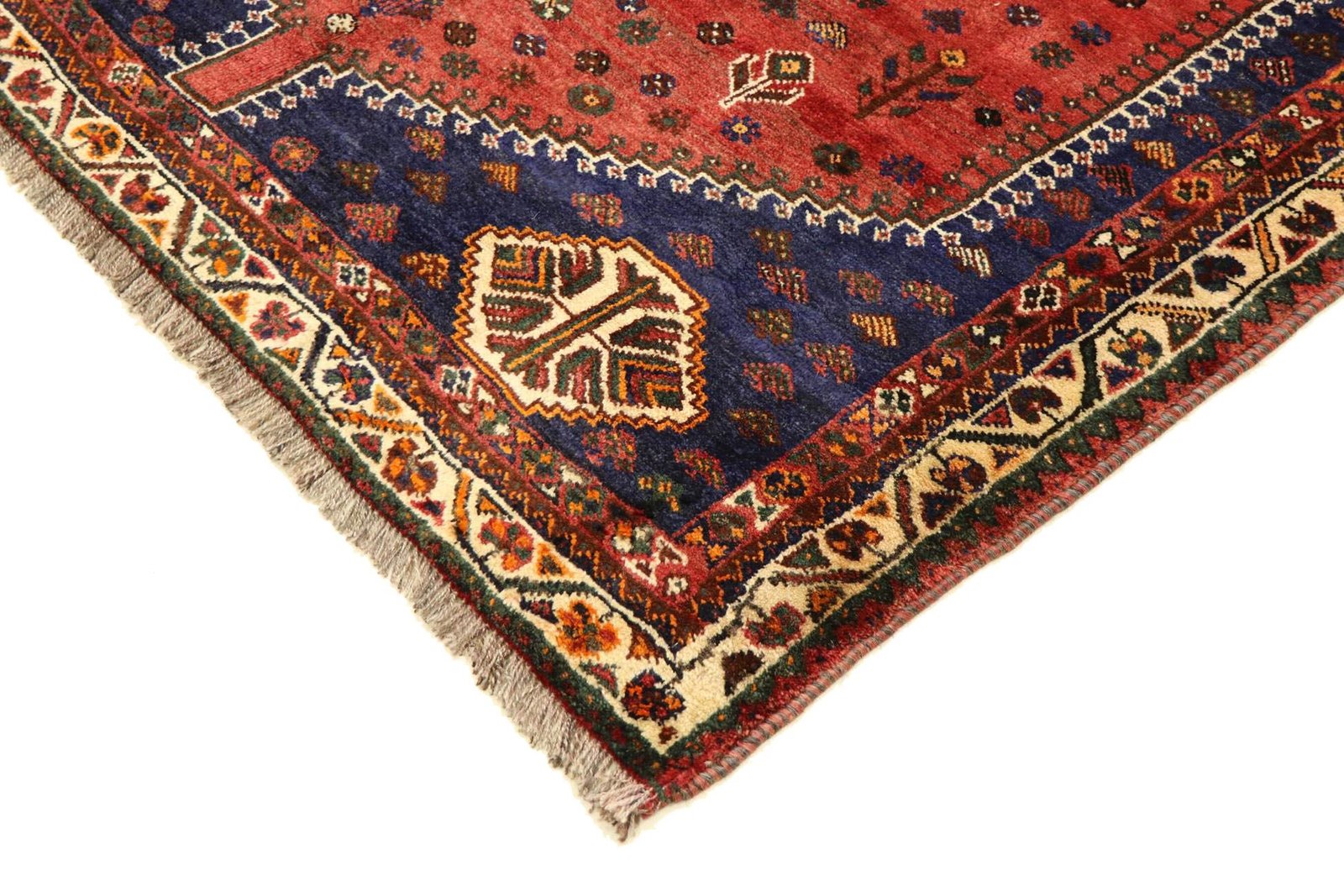 Ghashghai 237x174 - Image 6