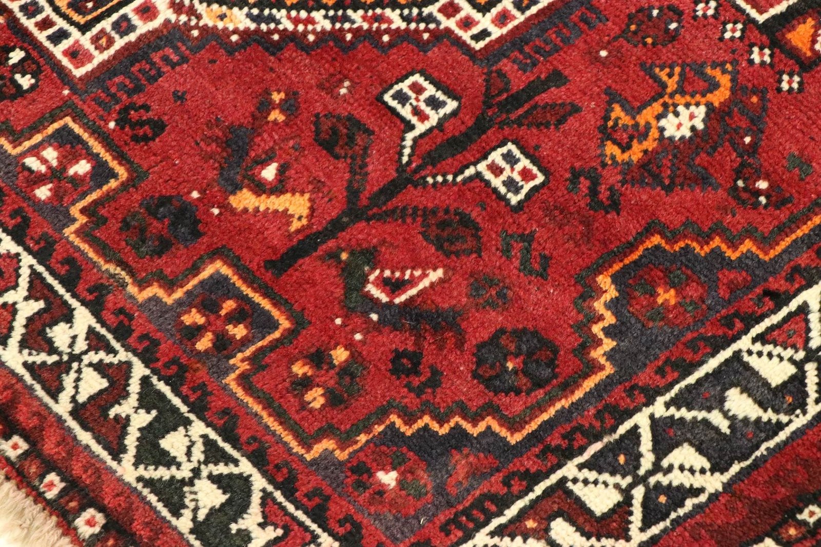 Shiraz 284x121 - Image 5