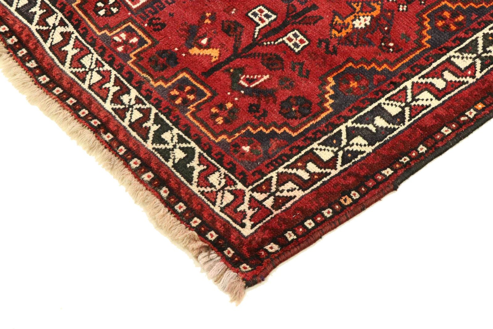 Shiraz 284x121 - Image 6