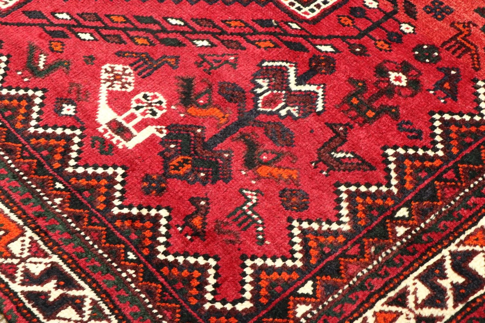 Ghashghai 241x161 - Image 5