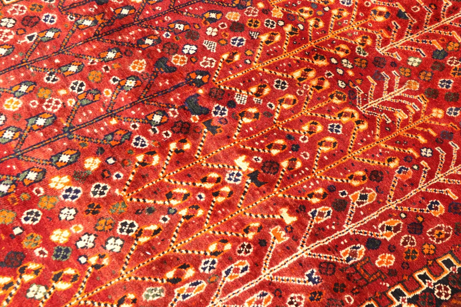 Ghashghai 259x158 - Image 4