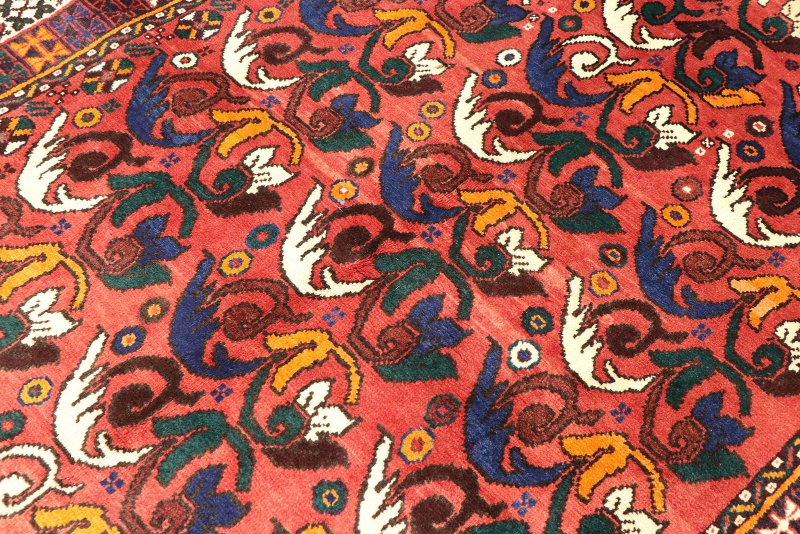 Ghashghai 250x175 - Image 4