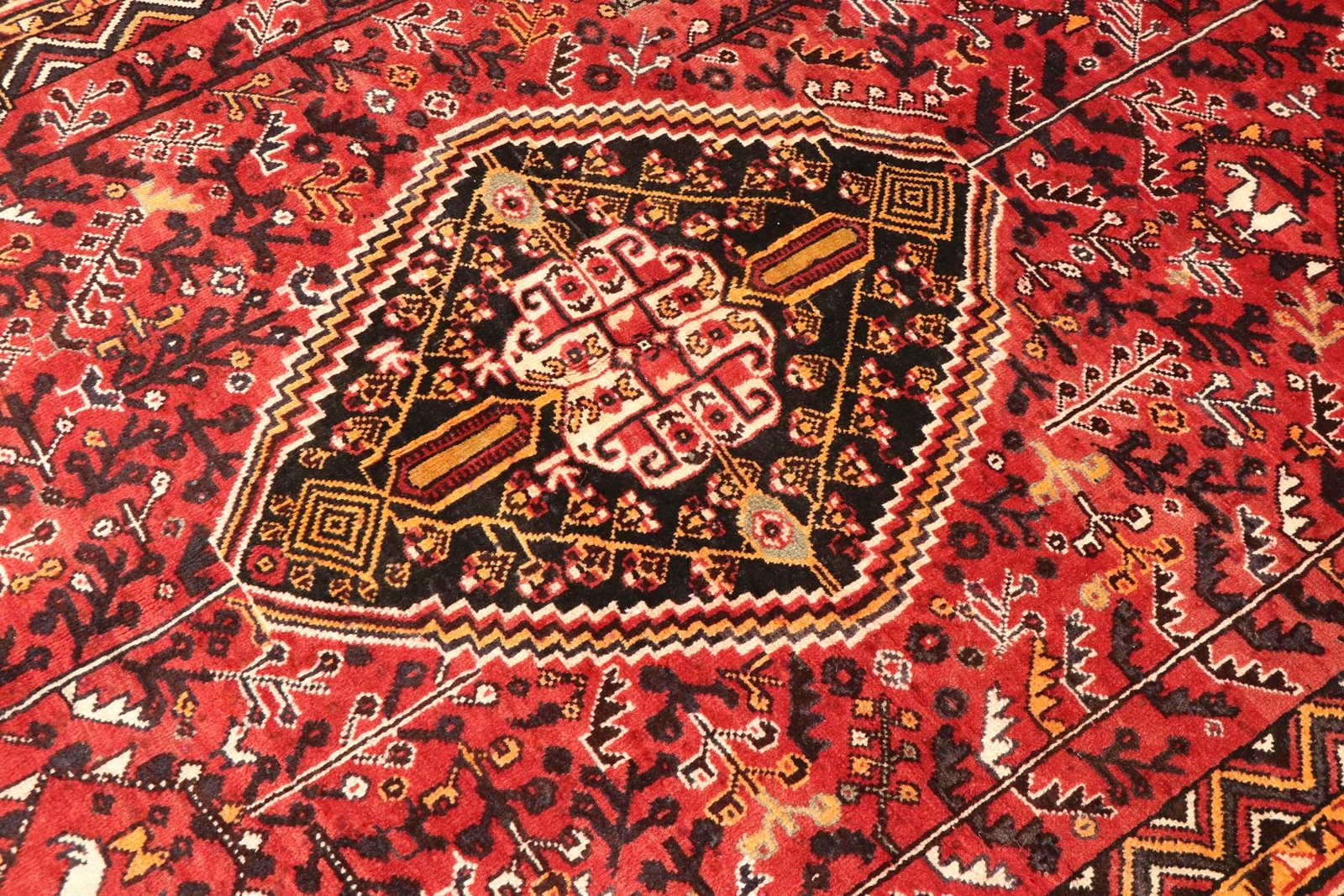 Ghashghai 230x160 - Image 4