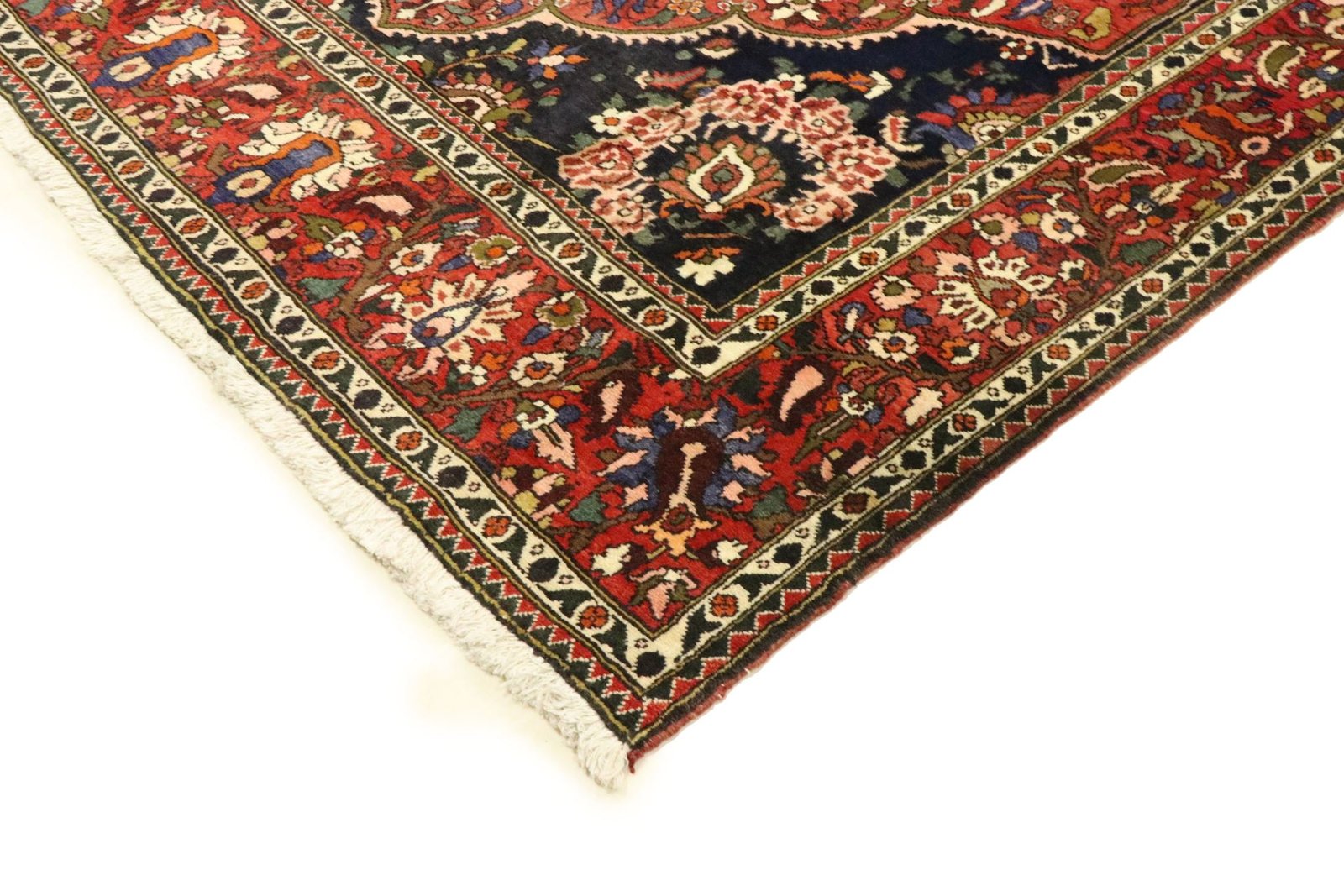 Bakhtiar 337x202 - Image 6