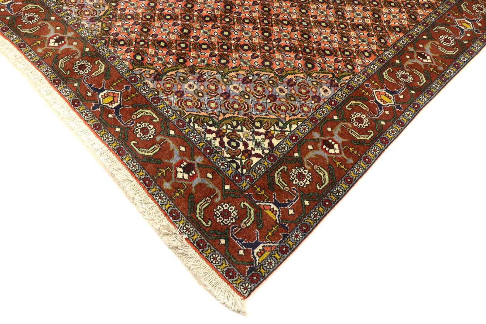 Ardail 300x198 - Image 6