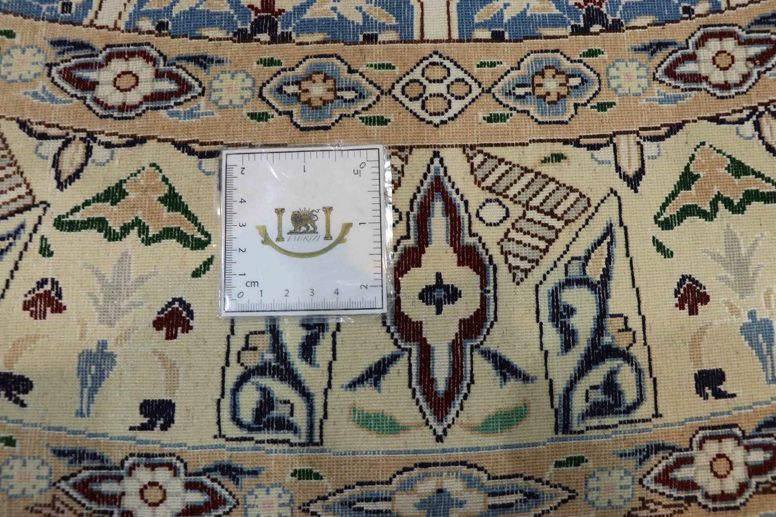 Nain 6 La 146x146 - Image 4