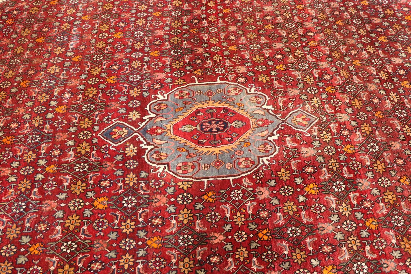 Old Bidjar 340x225 - Image 5